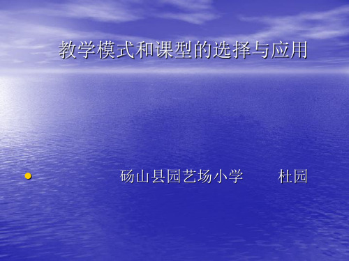 小学数学教学模式和课型的选择与应用