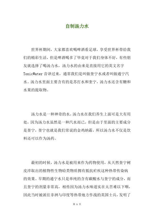 自制汤力水