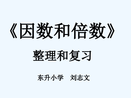 质数和合数复习课件 PPT