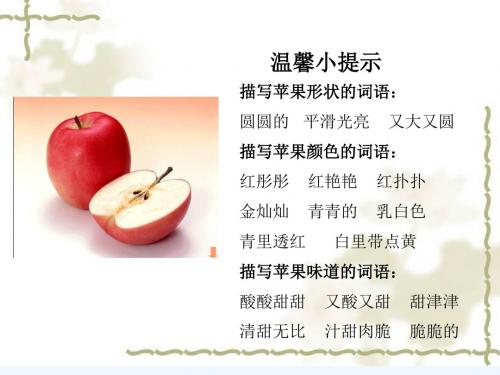 语文苏教版二年级下册水果卡片