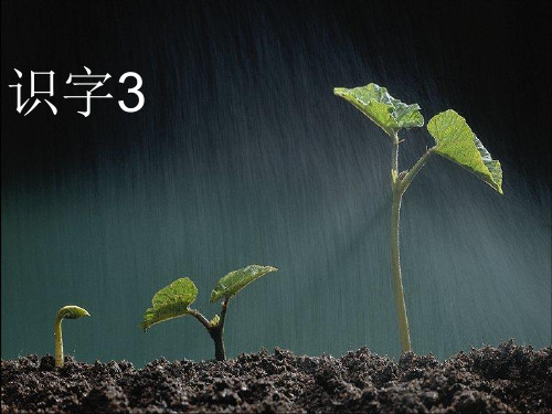 人教版小学语文下册识字三课件