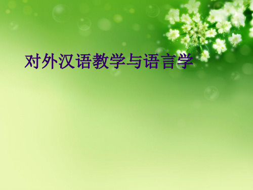 对外汉语教学与语言学优秀课件
