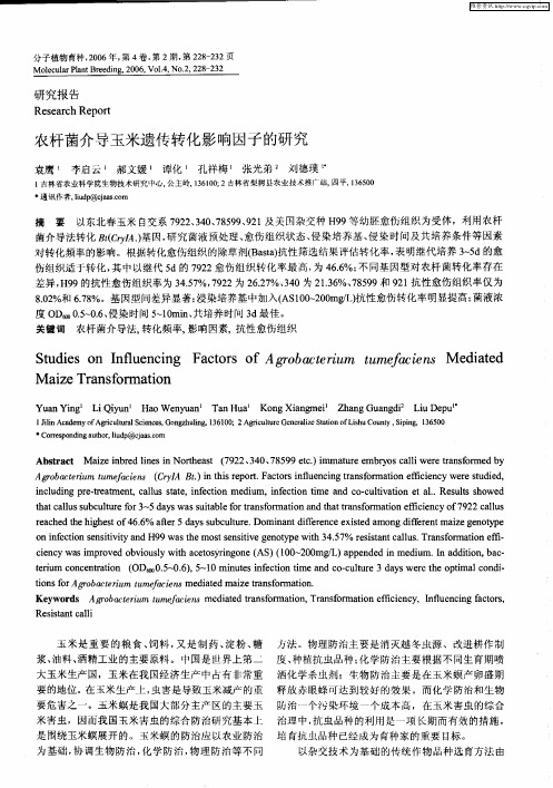 农杆菌介导玉米遗传转化影响因子的研究