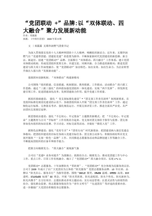 “党团联动 +”品牌:以“双体联动、四大融合”聚力发展新动能