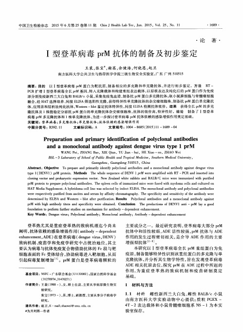 Ⅰ型登革病毒prM抗体的制备及初步鉴定