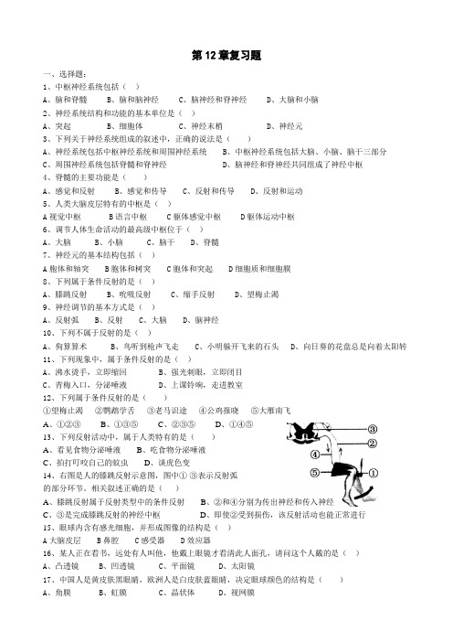 北师大版七年级生物下册第4单元第12章人体的自我调节  复习题