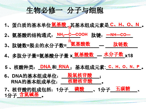 生物必修1全知识点(2020年)--分子与细胞(附答案)