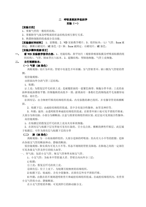 呼吸系统医学组织学