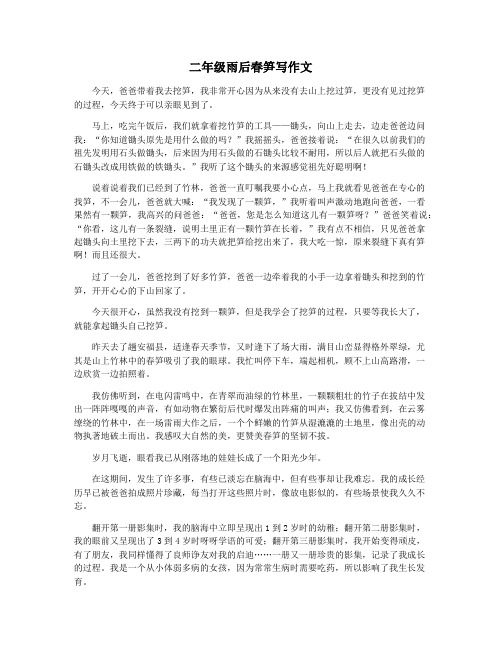 二年级雨后春笋写作文