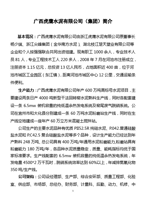 2019.3.18虎鹰公司项目简介