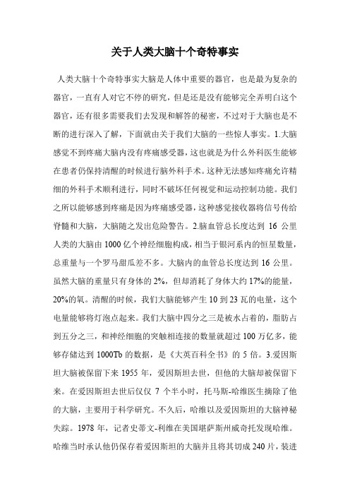 关于人类大脑十个奇特事实