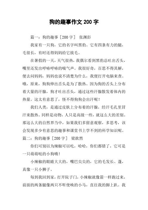 狗的趣事作文200字