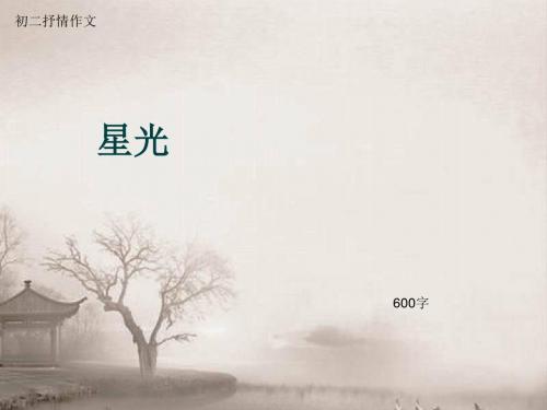 初二抒情作文《星光》600字(总9页PPT)