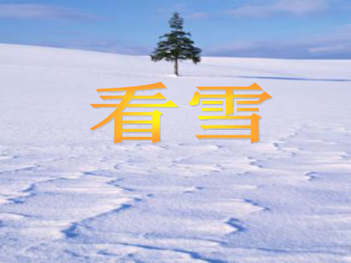 二年级语文上册12看雪课件