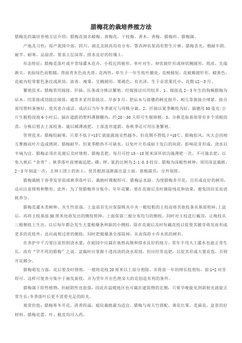 腊梅花的栽培养殖方法