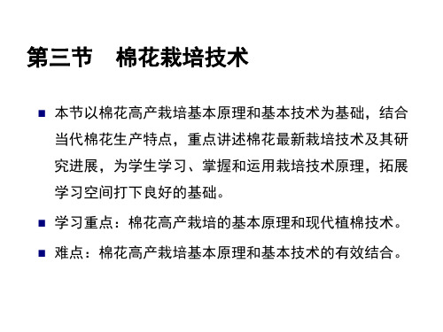棉花栽培技术