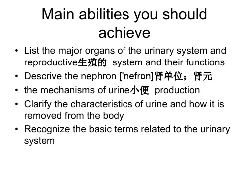 urology and nephroloy泌尿生殖系统(英文带解释)