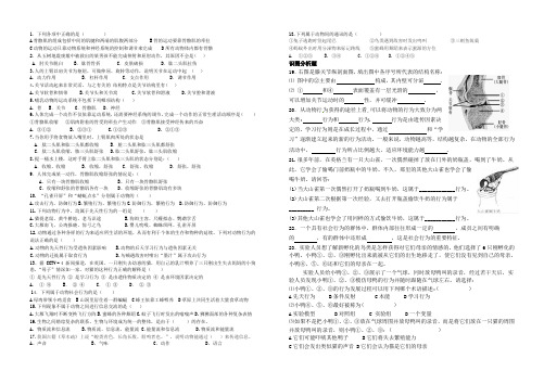 动物的运动和行为单元检测