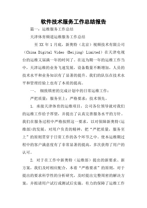 软件技术服务工作总结报告