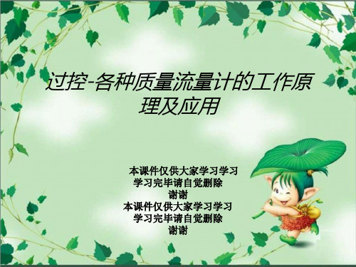 过控-各种质量流量计的工作原理及应用