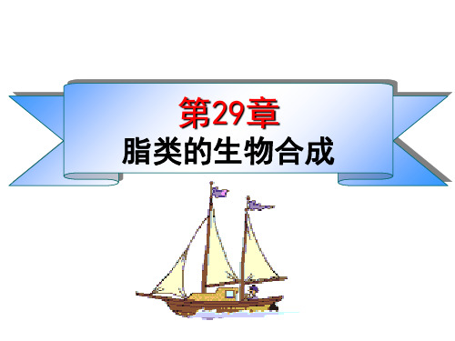 第29章脂类的生物合成94页PPT