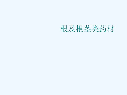 根及根茎类药材[可修改版ppt]