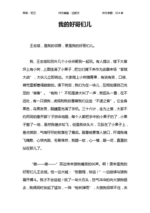 我的好哥们儿作文【初中初三500字】