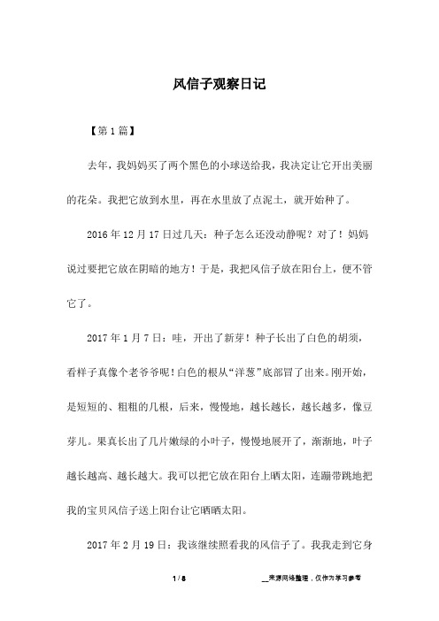 风信子观察日记