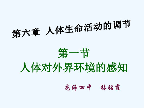 生物人教版七年级下册眼球结构与视觉形成精品PPT课件