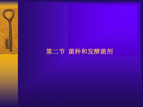菌种和发酵菌剂综述