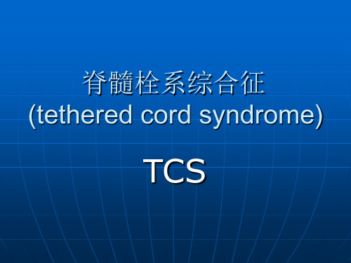 脊髓栓系综合征(
