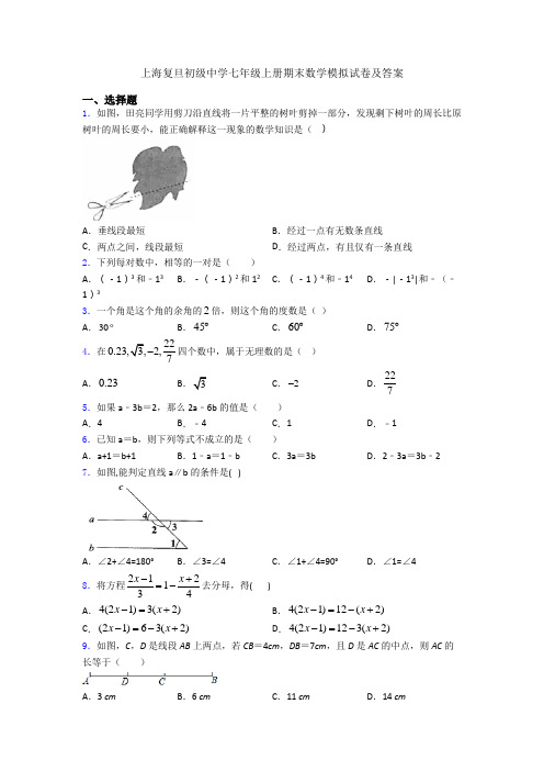 上海复旦初级中学七年级上册期末数学模拟试卷及答案