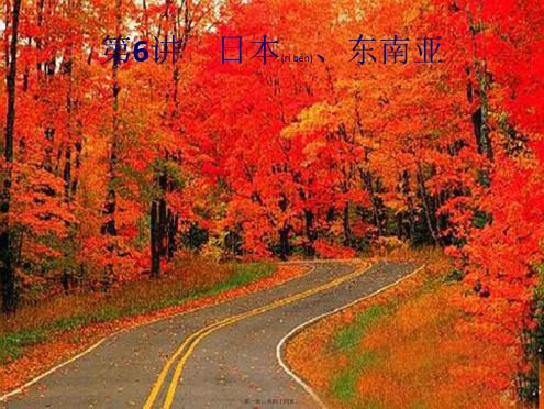 中考地理总复习 第6讲 日本、东南亚课件