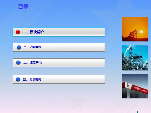中国石化安全管理信息系统推广项目培训教材-安保基金模块