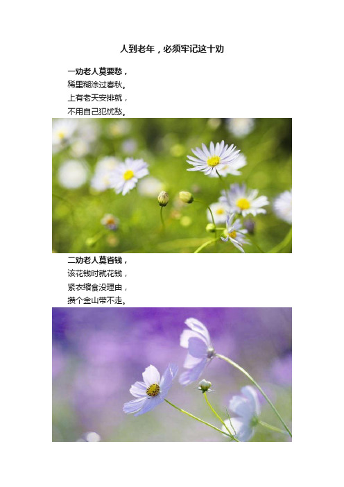 人到老年，必须牢记这十劝