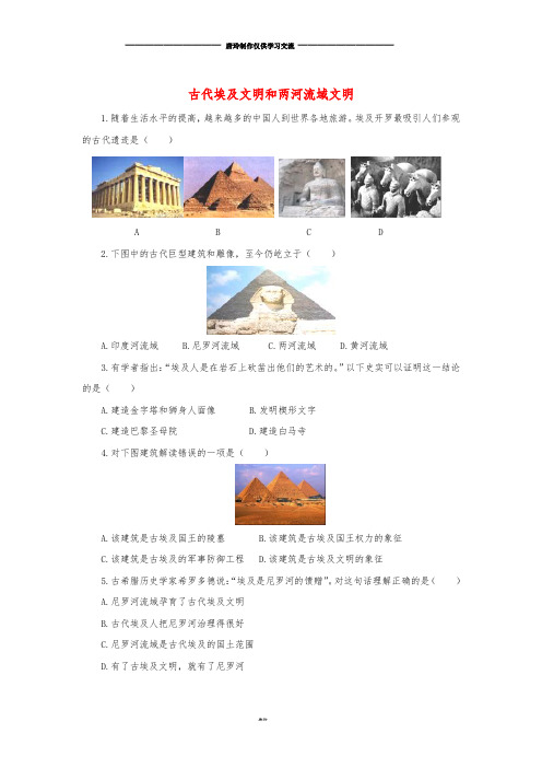 九年级历史上册 第一单元 上古文明的诞生与繁荣 第1课 古代埃及和两河流域文明培优练习.doc