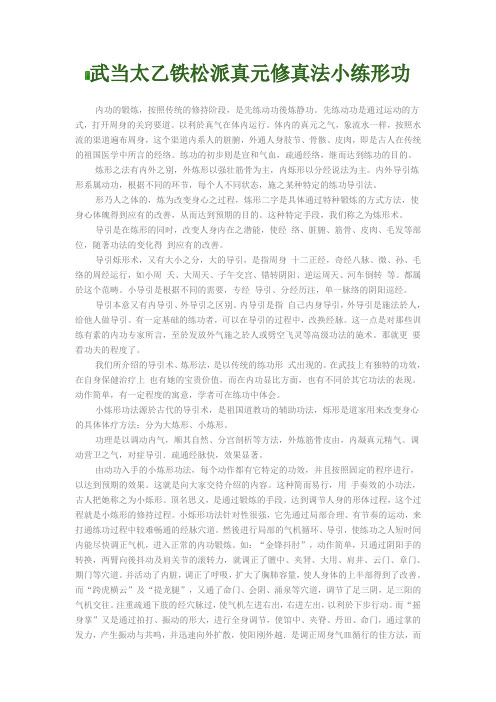 武当太乙铁松派真元修真法小练形