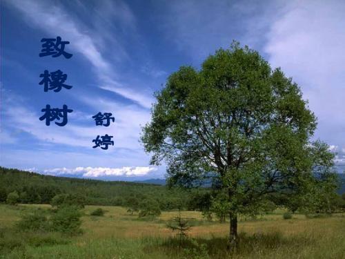 致橡树_PPT课件