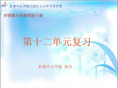 科普版六年级下册英语第十二课单元复习