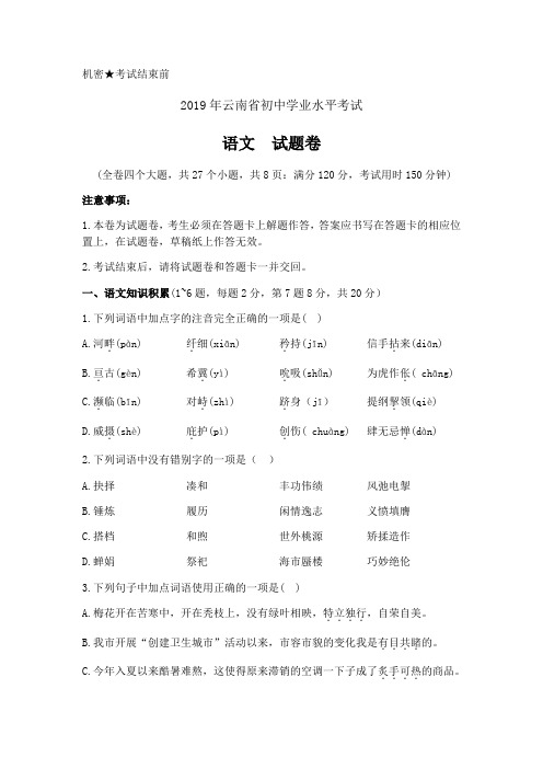 2019年云南省中考语文试题(含答案)