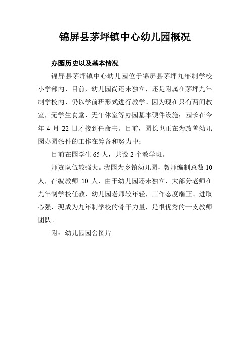 锦屏县茅坪镇中心幼儿园概况