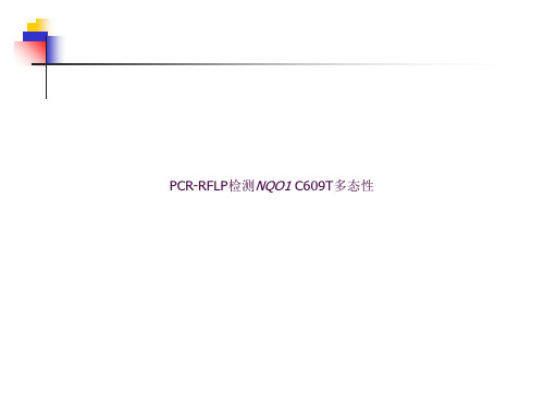 分子生物学实验 PCR-RFLP检测NQO1 C609T多态性ppt课件