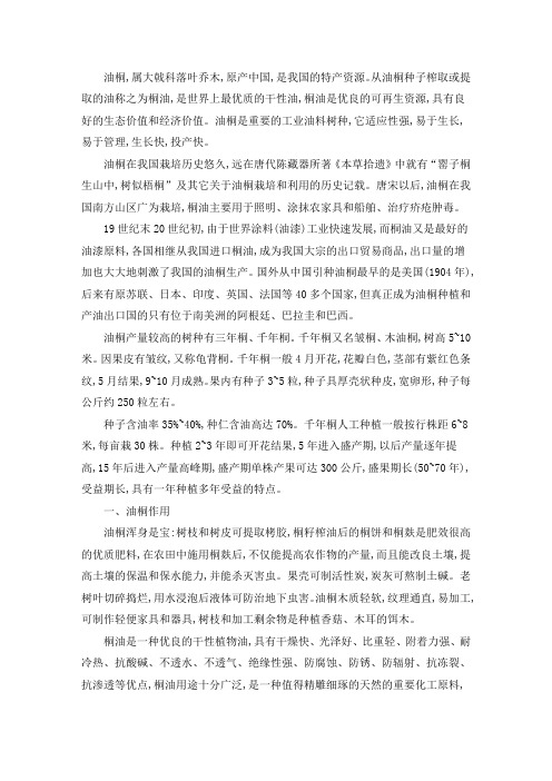 精选最新种植桐油树的经济效益