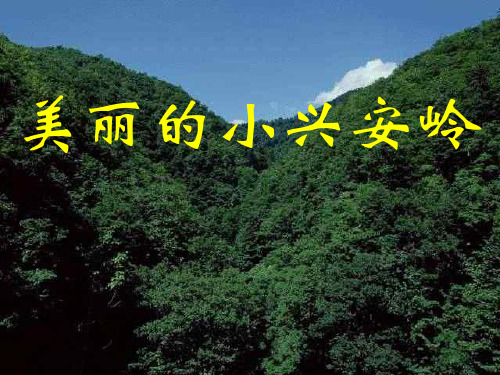 语文人教版三年级上册美丽的小兴岭