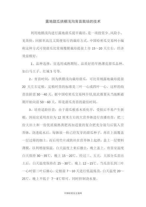 露地甜瓜拱棚浅沟育苗栽培的技术
