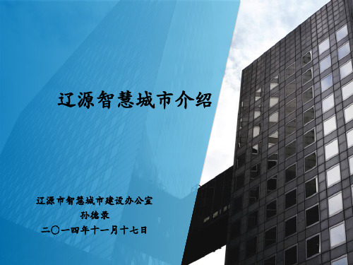 辽源智慧城市简介