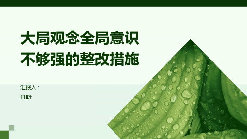 大局观念全局意识不够强的整改措施