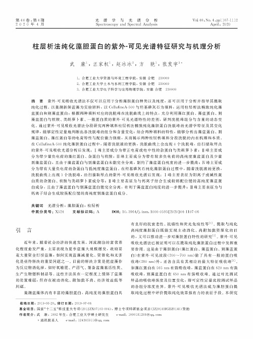 柱层析法纯化藻胆蛋白的紫外-可见光谱特征研究与机理分析