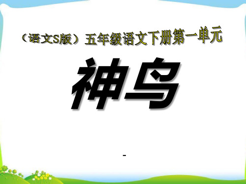 语文S版语文五下《神鸟》ppt-课件2