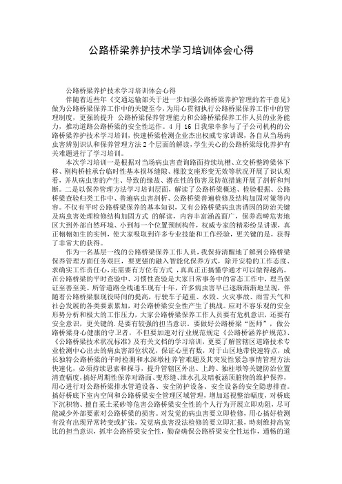 公路桥梁养护技术学习培训体会心得